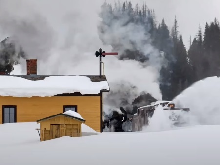 Snow plow train