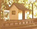 Melaleuca station building