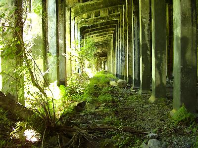 Concrete Snowshed