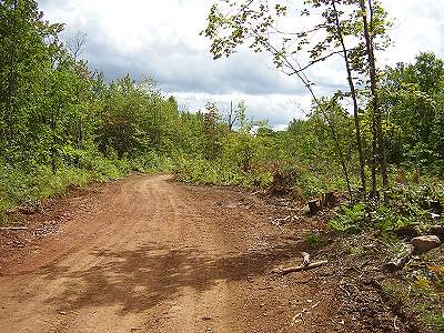 logging road