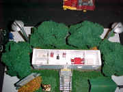 051.jpg (76854 bytes)