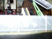 brad-55.jpg (100435 bytes)