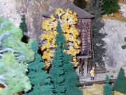 chic21.jpg (106041 bytes)