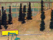 chic30.jpg (117882 bytes)