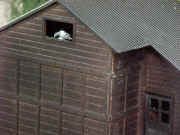 031.jpg (78325 bytes)