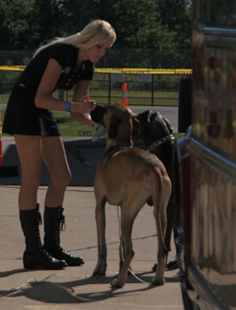 Paul Stender - School Time Jet-...