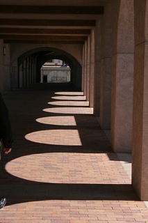 IMG_9631.jpg