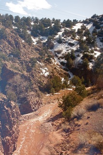IMG_9645.jpg