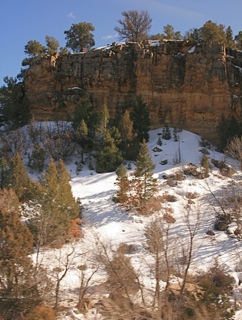 IMG_9650.jpg