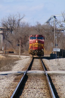 IMG_9717.jpg