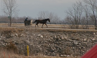 IMG_9760.jpg