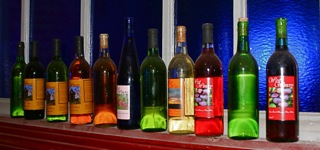 IMG_9942.jpg