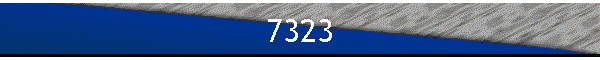 7323