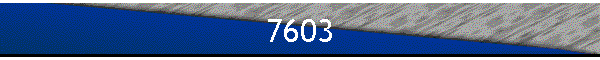7603