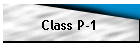Class P-1