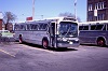 CCL #1909 at the Rebecca St Bus Terminal, May 4 1980.