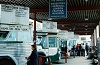 Buses lined up at the Rebecca St Bus Terminal, September 27 1973,