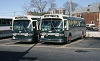 CCL #1971 and #1983 at the Rebecca St Bus Terminal in 1983.