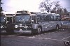 CCL 1985 at the Rebecca St Bus Terminal.