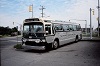 CCL #1989 at the old Niagara Falls bus terminal at Stanley and Dunn, June 1 1986.