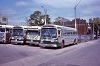 CCL #1992 at Rebecca St Bus Terminal, May 24 1976.