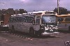 CCL 1994 at the Rebecca St Bus Terminal.