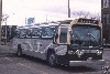 CCL 1995 at the Rebecca St Bus Terminal.