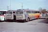 CCL #2132 & 2137 at the old Niagara Falls bus terminal at Stanley and Dunn, May 14 1983.