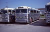CCL #2133 & 2142 at the old Niagara Falls bus terminal at Stanley and Dunn, May 31, 1979.