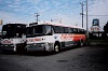 CCL #2141 at the old Niagara Falls bus terminal at Stanley and Dunn, July 1, 1986.