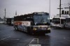 CCL 2191 at the Rebecca St Bus Terminal circa 1991