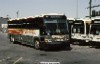 CCL 2192 at the Rebecca St Bus Terminal circa 1991