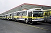 HSR #8213</A> at the Wentworth Bus Garage, June 13 1998.