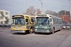 HSR #950 and CCL #1975 bus terminal at the Rebecca St Bus Terminal, Oct 18 1976.