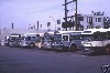 Buses at Rebecca St Bus Terminal in 1969