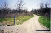 Junction between the Iroquoia Heights trail and the Bruce trail