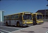 CCL #626 & 627 at the Niagara Falls Bus station in July 1977.