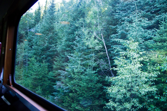 Typical window view on the trip
