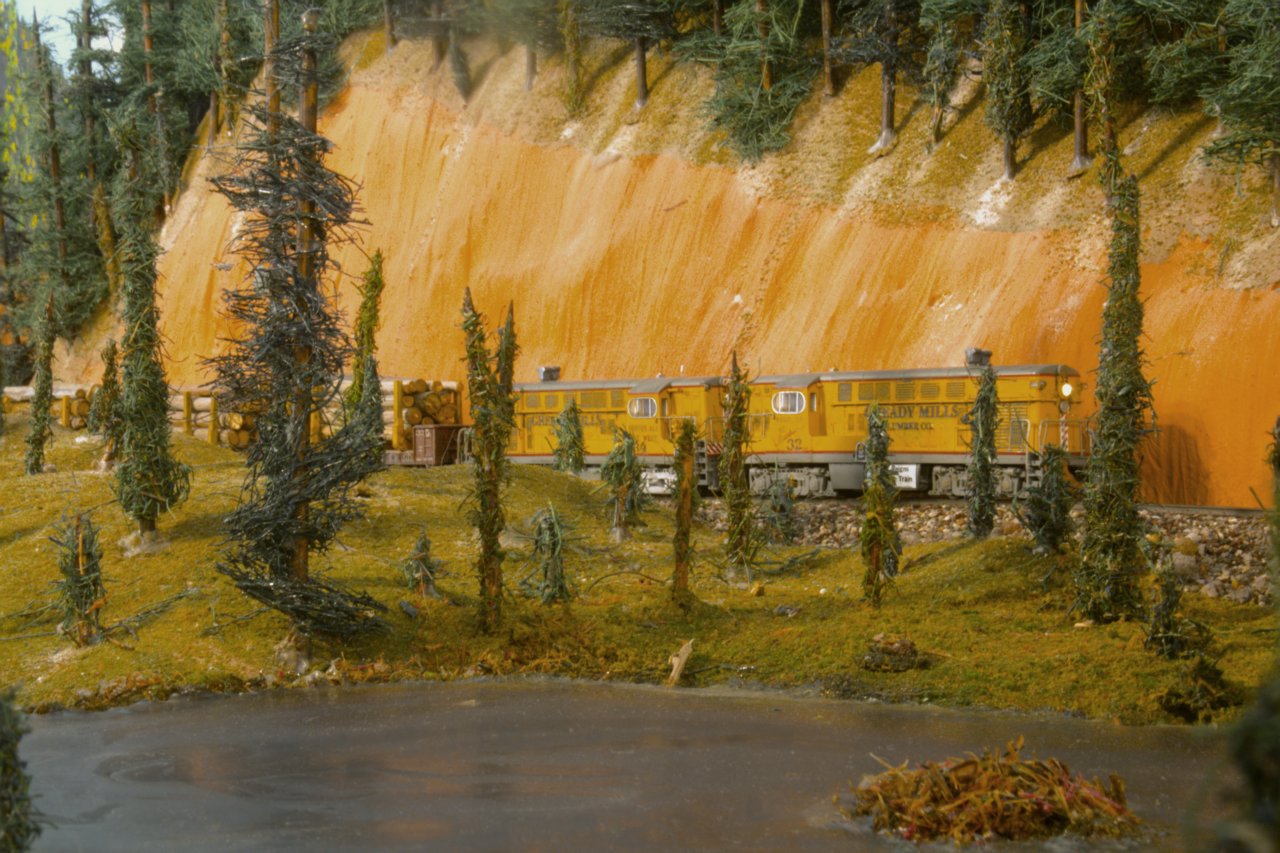 gready logger passing the beaver pond