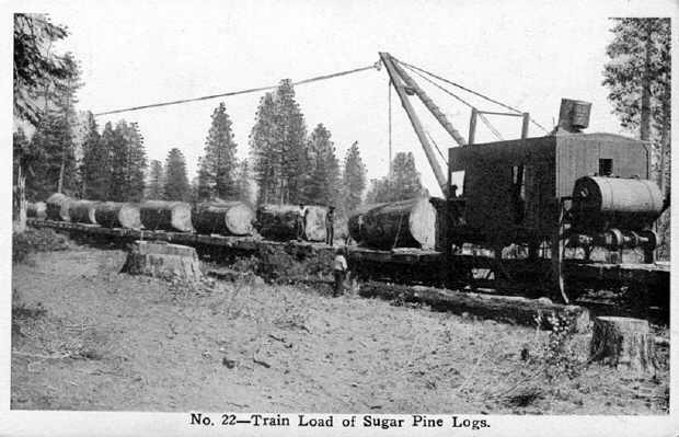 RT03-LogTrain.jpg
