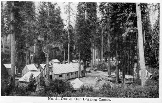RT05-LoggingCamp.jpg