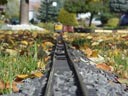 Tracks automne