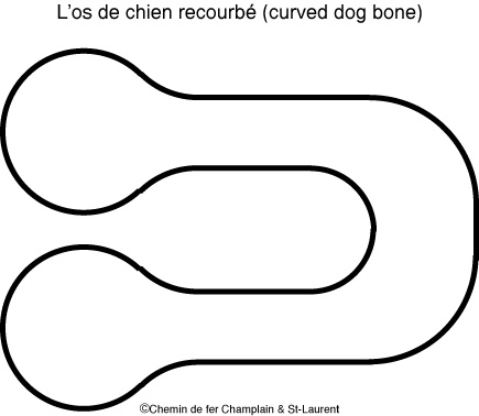 Dog bone recourbe