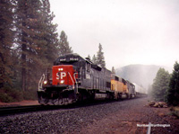 SP 8540 N rolls out of the mist @ Mott, CA