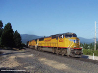 UP 4354 North @ Shasta City