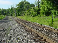 Davis Branch
