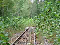 Rails-to-Trees