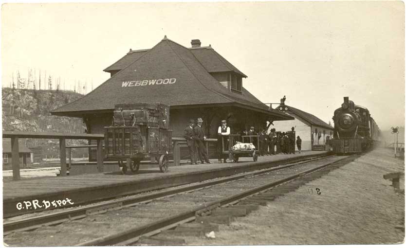 Webbwood
