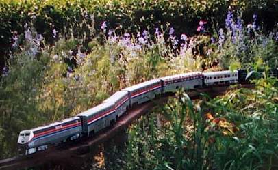 o gauge train in garden