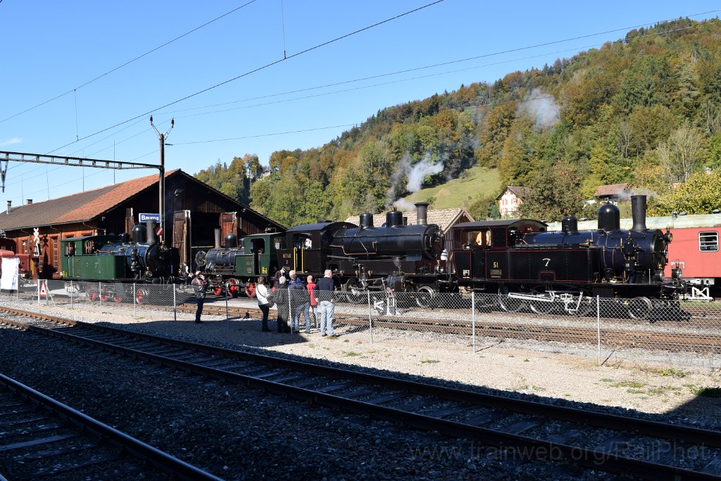 4214-0019-161016.jpg - DBB Ed 3/4 51 + VHMThB Ec 3/5 3 "Choli" + DVZO E 3/3 8518 "Bäretswil" + Ed 3/4 2 "Hinwil" / Bauma 16.10.2016